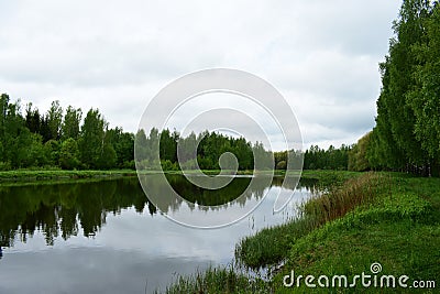 The river flows through the forest. On a warm evening, the calm water in the river moves, runs in the flat color of the sky Stock Photo