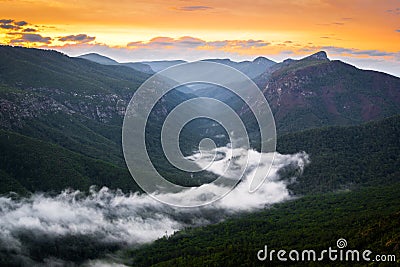 River of Fog in Linville Stock Photo