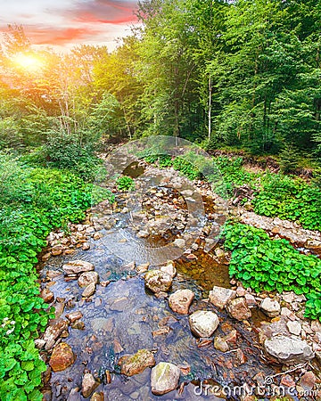 River in the forest. Beautiful natural landscape in the summer t Stock Photo