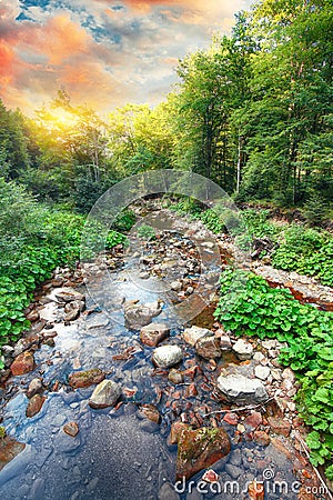 River in the forest. Beautiful natural landscape in the summer t Stock Photo