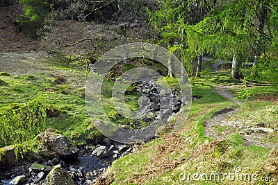 River on forest glade in English countryside Stock Photo