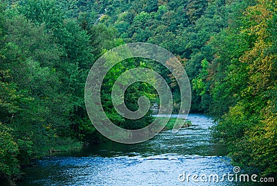 River and green forest Stock Photo