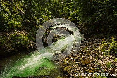 River in green forest in Canyon Vintgar, Triglav Stock Photo