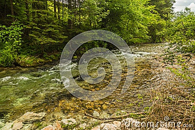 River in green forest in Canyon Vintgar, Triglav Stock Photo