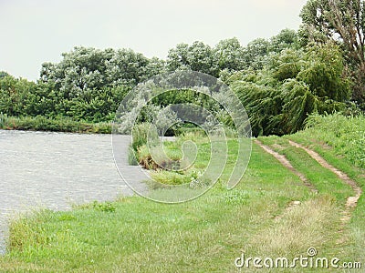 River with green shores and reeds. Photo of a beautiful river with green banks Stock Photo