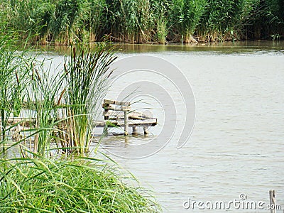 River with green shores and reeds. Photo of a beautiful river with green banks Stock Photo