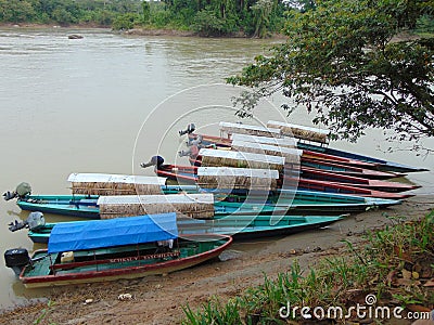 The river between Guatemala and Mexico Editorial Stock Photo