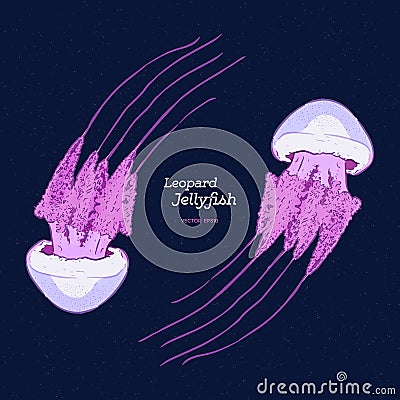 River jelly Leopard jellyfish, hand draw sketch vector Vector Illustration