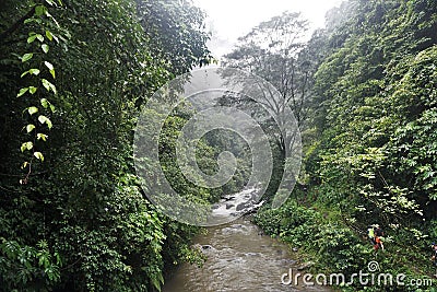River in jungle hike in Bali Indonesia very green plants and waterfall Stock Photo