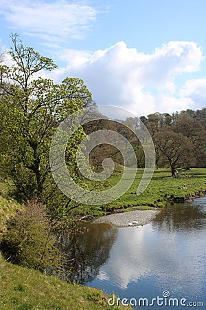 River Kent in Levens Hall Deer Park, Cumbria Stock Photo