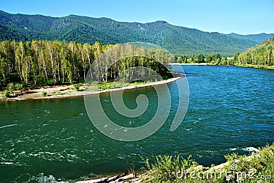 River Kucherla, Altai, Russia, wild landscape Stock Photo