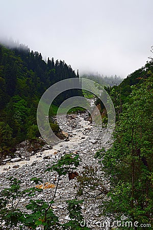 River Lakshman Ganga on Trek to Ghangaria, Uttarakhand, India Stock Photo