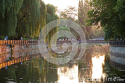 city park at sunset Stock Photo