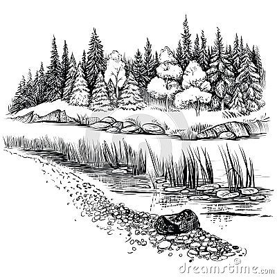 River landscape with conifer forest. Vector illustration. Vector Illustration