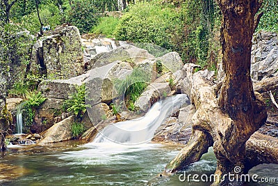 River landscape with waterfall and a fallen tree trunk inside the water Stock Photo