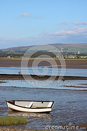 River Lune Little Egrets Glasson Dock Clougha Pike Stock Photo