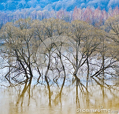 Spring freshet Stock Photo