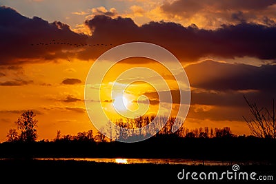 River Maas, Elsloo, Limburg Stock Photo