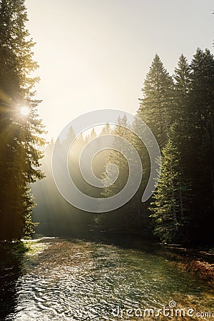 River with morning mist and sun glow in Durmitor Montenegro Stock Photo
