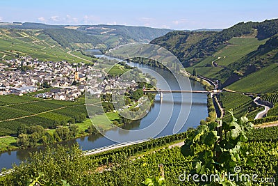 River mosel in trittenheim Stock Photo