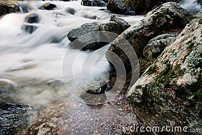 River of mountain crossing a forest. Stock Photo