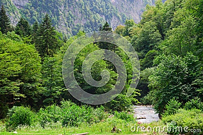 River in the mountains Stock Photo