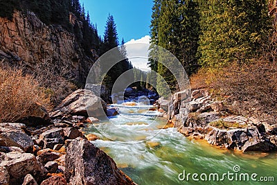 A river in the mountains of Kyrgyzstan in the Semenovsky gorge Stock Photo