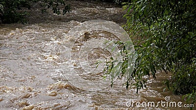 River in Mountains, Muddy Stream after Stormy Raining, Inundation, Flooding Creek in Torrential Rain, Calamity, Natural Disaster Stock Photo