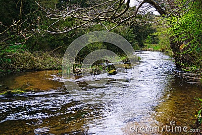 River Nar running through the woods. Stock Photo