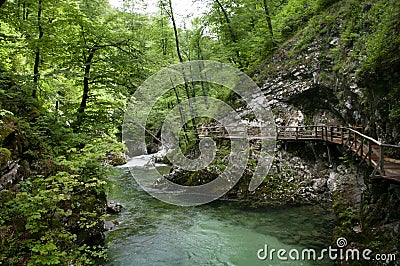 River in national park going through mountains, Slovenia, Park Vintgar Stock Photo