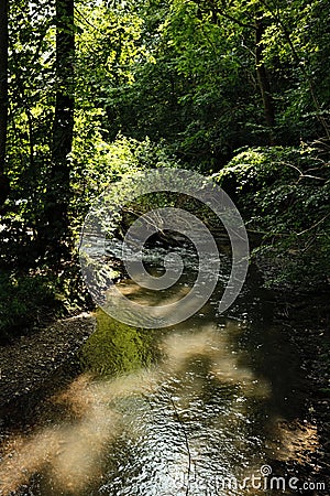 River in the Neander valley near Mettmann town, Germany, vertical shot Stock Photo