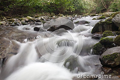 River passing through forest Stock Photo