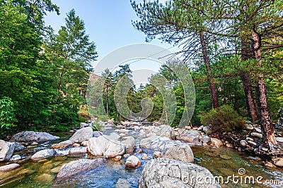 River with pebbles, mountains and picturesque forest. Enchanting and evocative landscape. Stock Photo