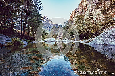 River with pebbles, mountains and picturesque forest. Enchanting and evocative landscape. Stock Photo