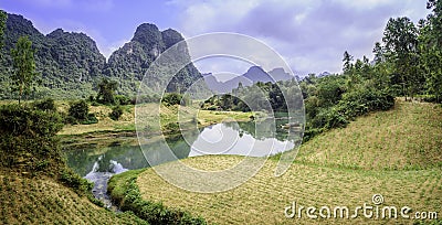 A rural river in vietnam Stock Photo