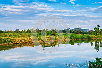 River Plant Mountain and Sky Stock Photo