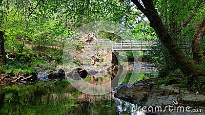 River Plym Bickleigh Vale dartmoor uk Stock Photo