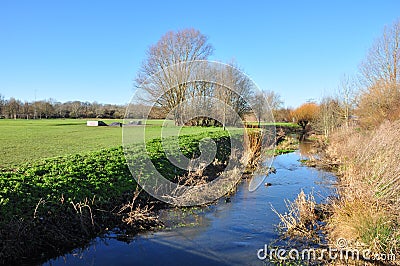 River Purwell beside Walsworth Common, Hitchin Stock Photo