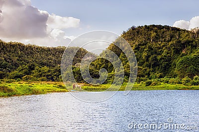 River, Rio Chavon in Dominican Republic Stock Photo