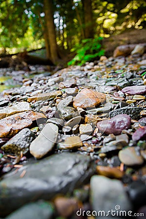 River Rocks with Blurred Background Stock Photo