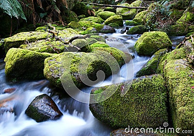 River Running over Mossy Rocks Stock Photo