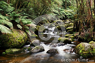 River Running over Mossy Rocks Stock Photo