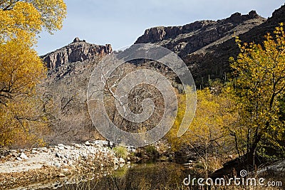 River in Sabino Canyon Stock Photo