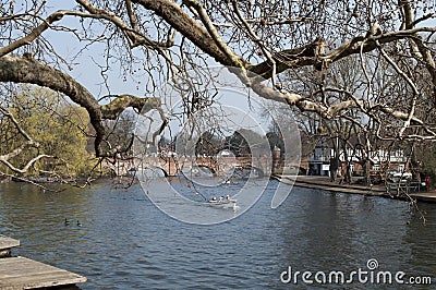 River Scene Hanging Trees Stock Photo