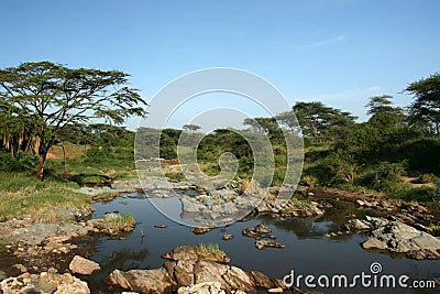River - Serengeti Safari, Tanzania, Africa Stock Photo