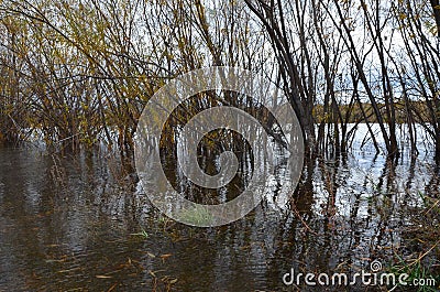 A river shore Stock Photo