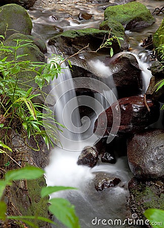 River and small falls from Emerald Pool, Dominica Stock Photo