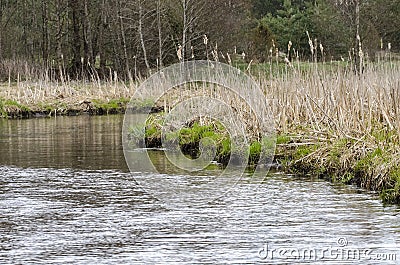 A river with small rain at spring Stock Photo