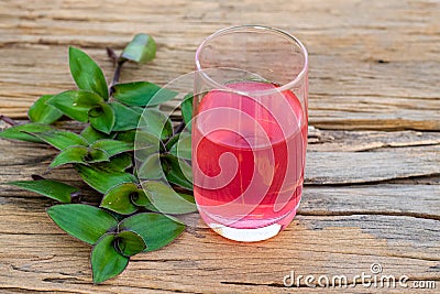 River spiderwort herbs Stock Photo