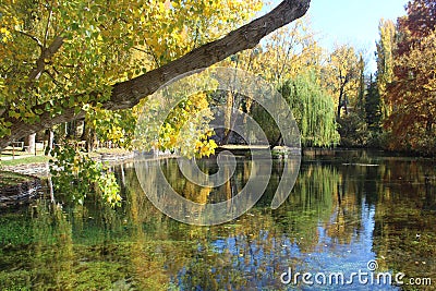 River spring surrounded by uncontaminated nature Stock Photo